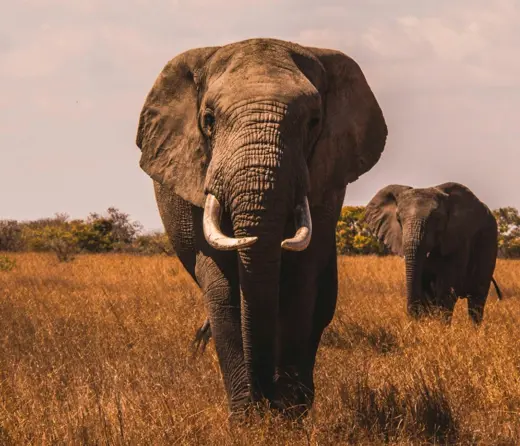 The illusion of integrity: Confronting governance washing in sustainable investing